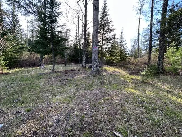 6413 E Barker Road, Gilbert, MN 55741 - #2