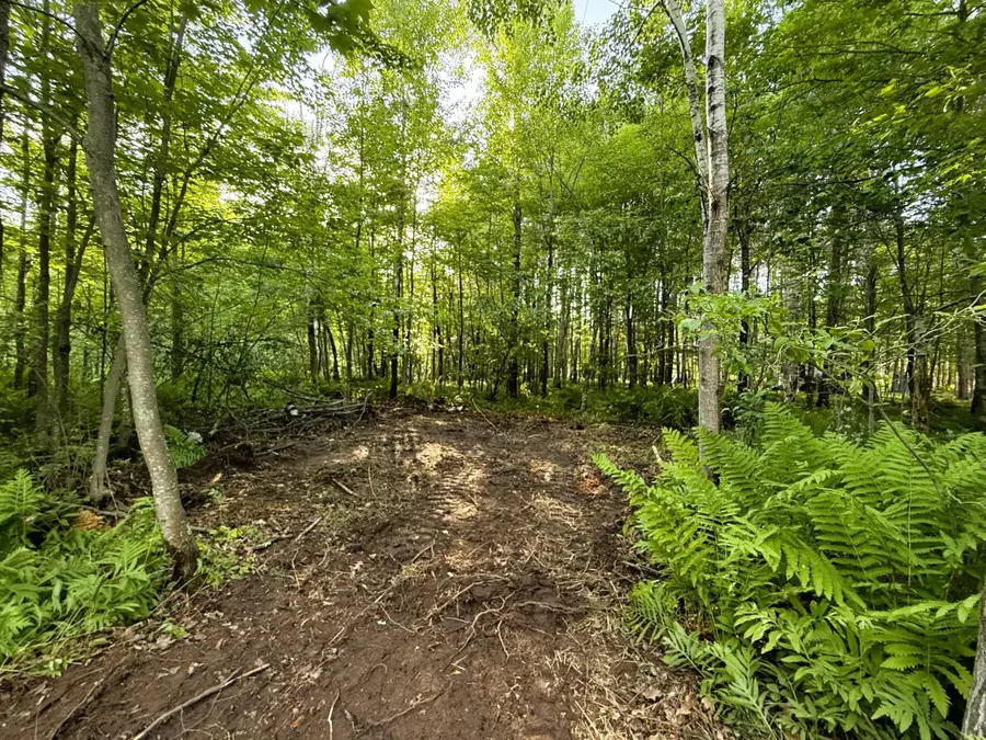 TBD Frontier Lane, Sturgeon Lake, MN 55783 - #3