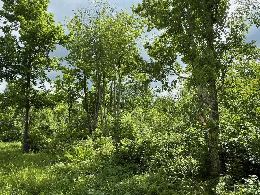 63872 Kingsdale Road, Sandstone, MN 55072 - #3