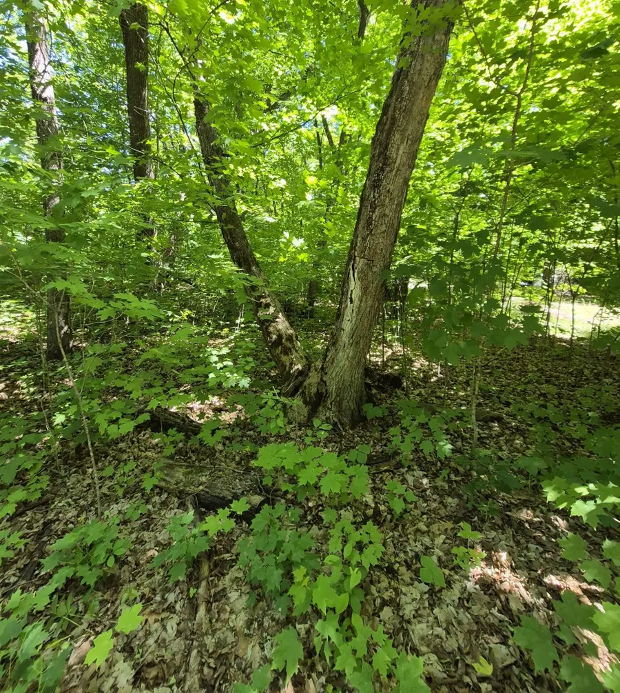 TBD Lot 309 197th Avenue, McGregor, MN 55760 - #2