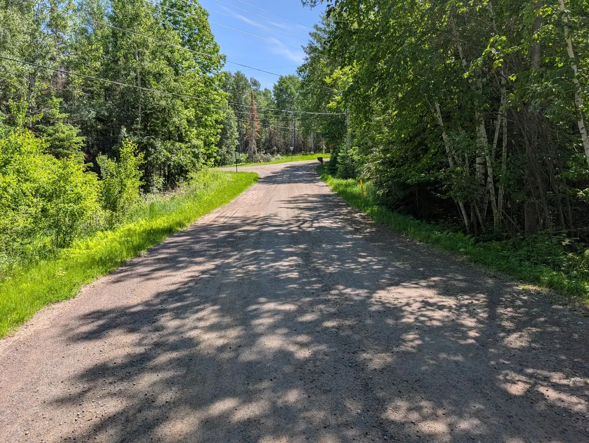 TBD Town Road 492, International Falls, MN 56649 - #1