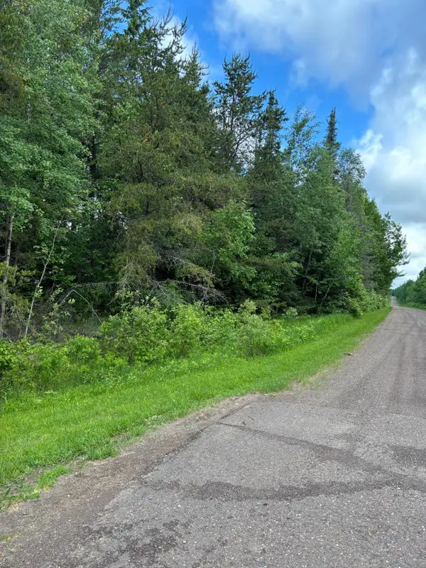 XXX Town Line Road, Bassett Twp, MN 55602