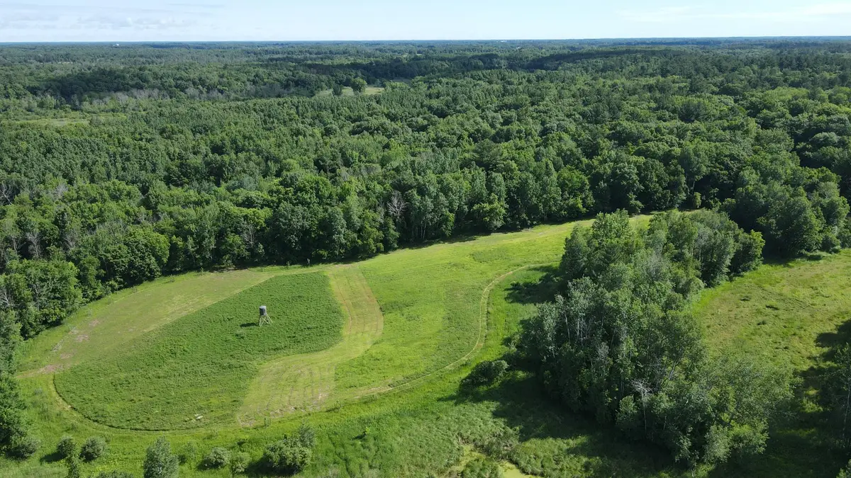 37102 Grandy Pines Road Ne, Stanchfield, MN 55080 - #1