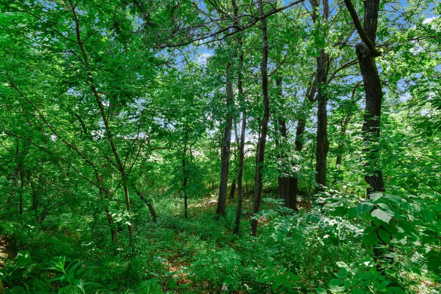 562 Deer Ridge Lane S, Maplewood, MN 55119 - #3