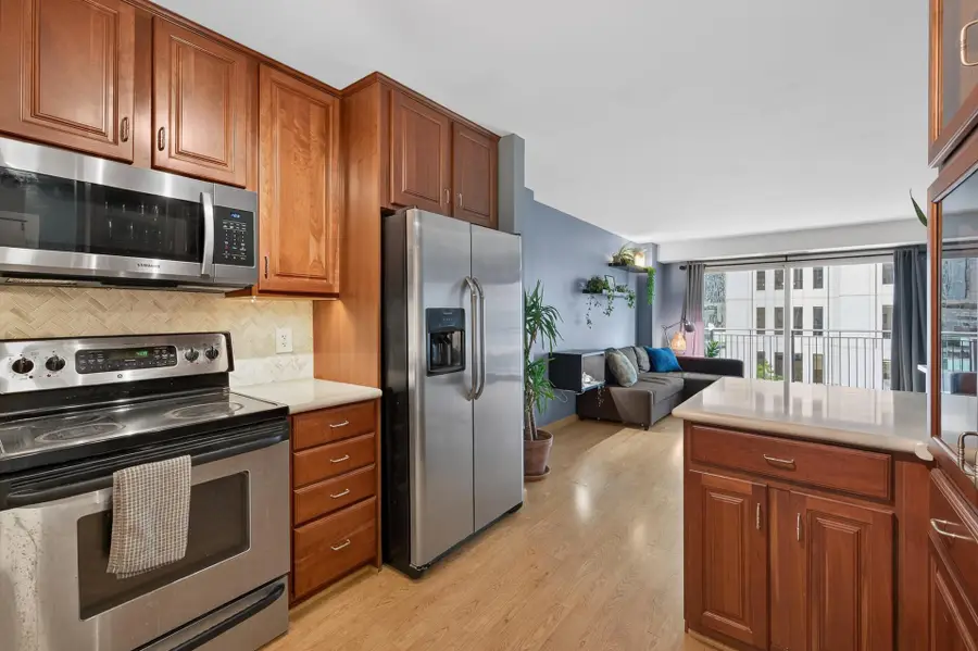 121 Washington Avenue S #505, Minneapolis, MN 55401 - #3