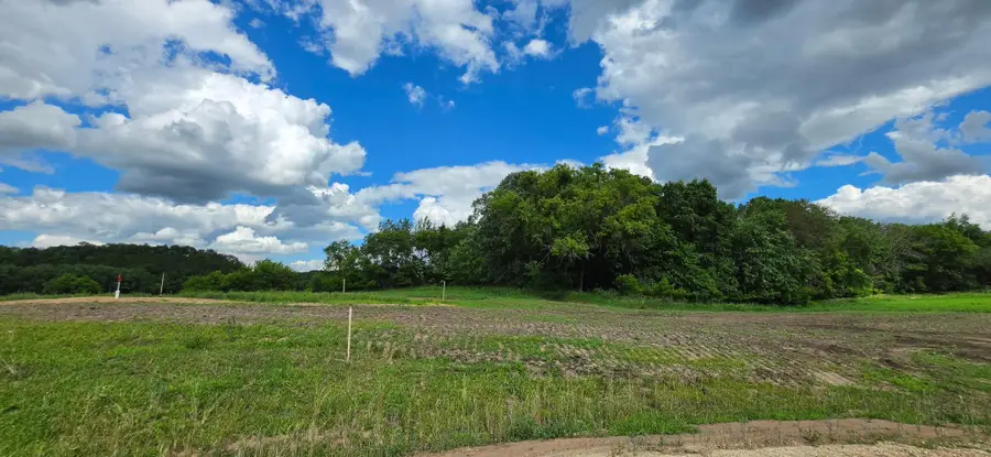 TBD (L3B1) 410 Avenue, Mazeppa, MN 55956 - #3