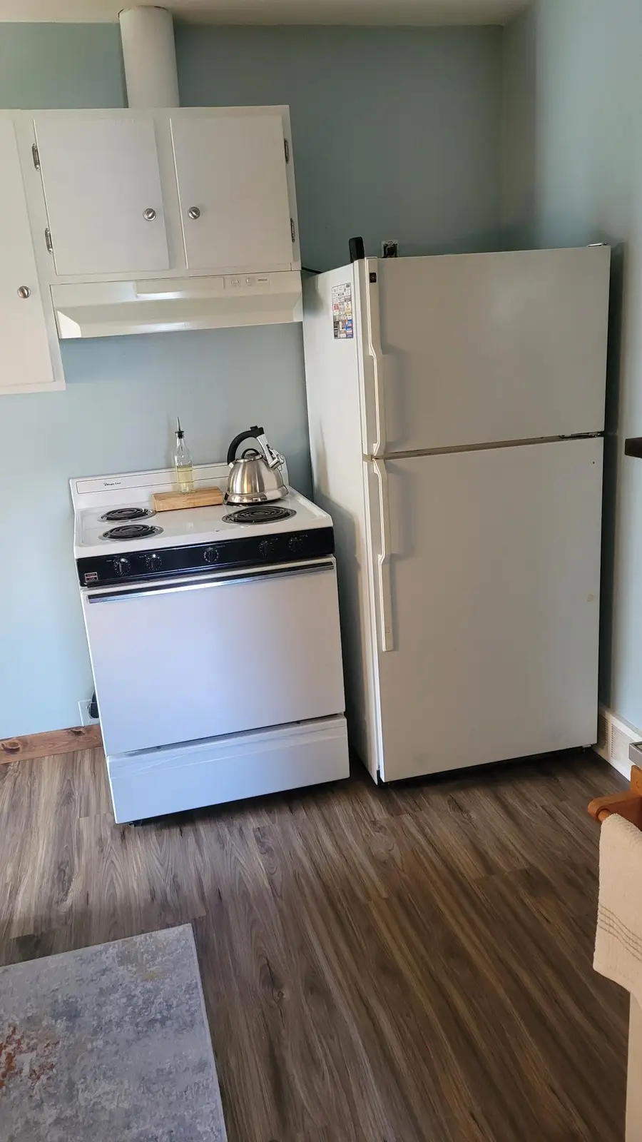 515 Snell Avenue, Pine River, MN 56474 - #3