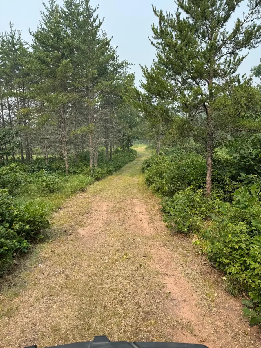 14387 S Mccumber Road, Gordon, WI 54838 - #2