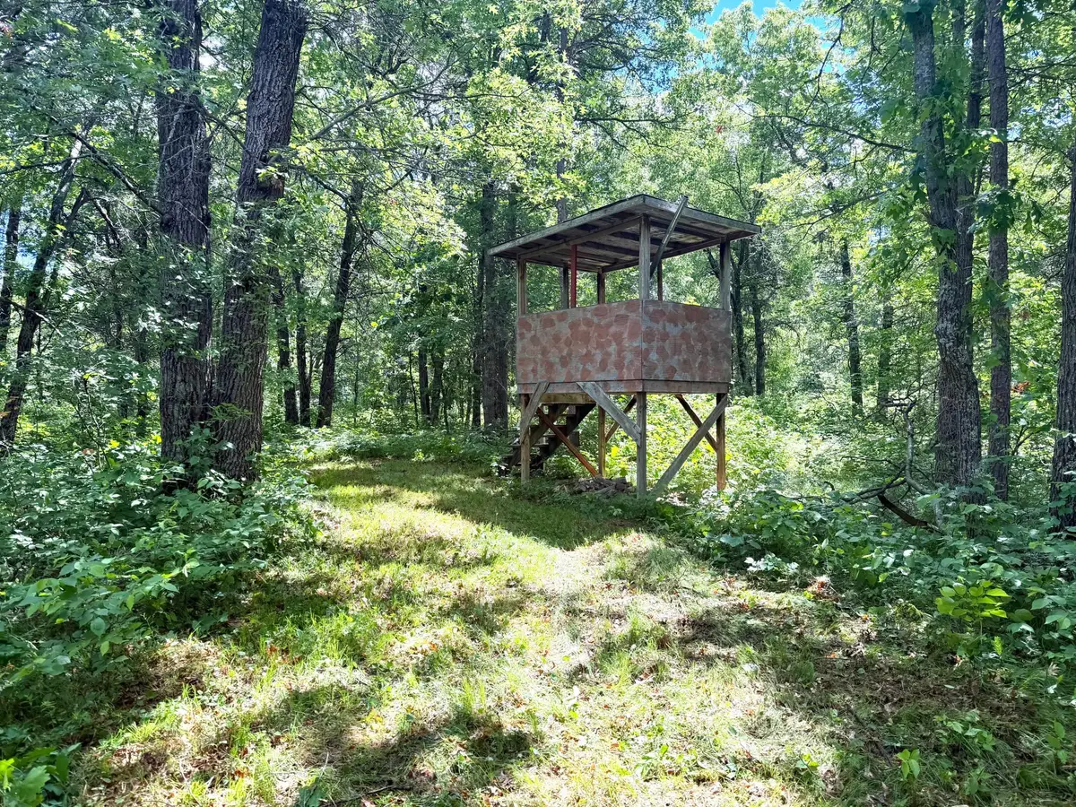 TBD-39AC North River Road, Danbury, WI 54830 - #1