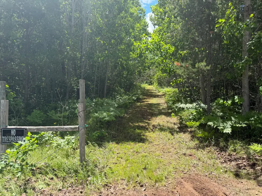 TBD-39AC North River Road, Danbury, WI 54830 - #3