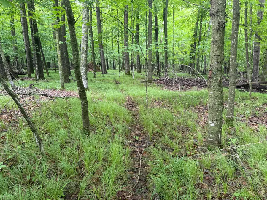 TBD West Bone Lake Dr, Milltown, WI 54858 - #2