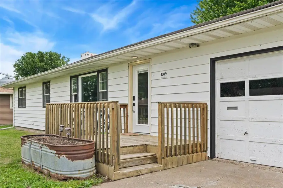 1009 W Center Street, Lake City, MN 55041 - #3