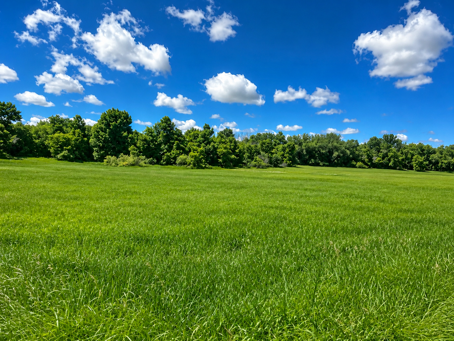 tbd Hwy 77, Wadena, MN 56482 - #2