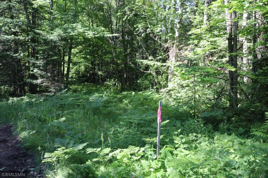 TBD Sawmill Road, Kerrick, MN 55756 - #2