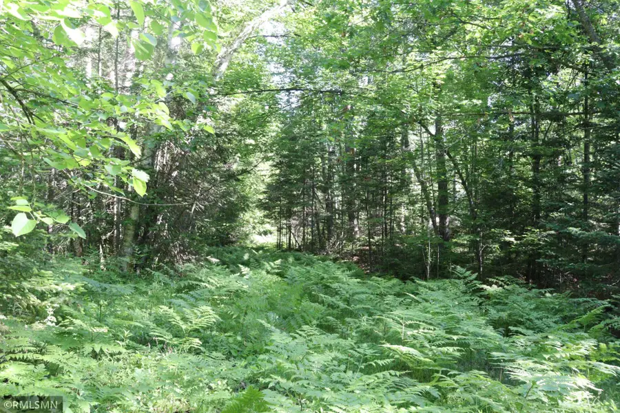 TBD Sawmill Road, Kerrick, MN 55756 - #3