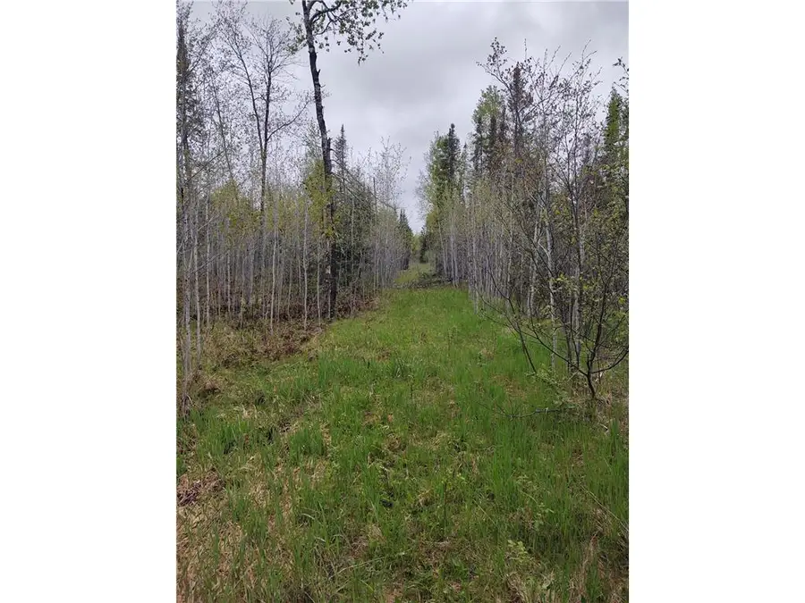 TBD Vermilion Trail, Makinen, MN 55763 - #3