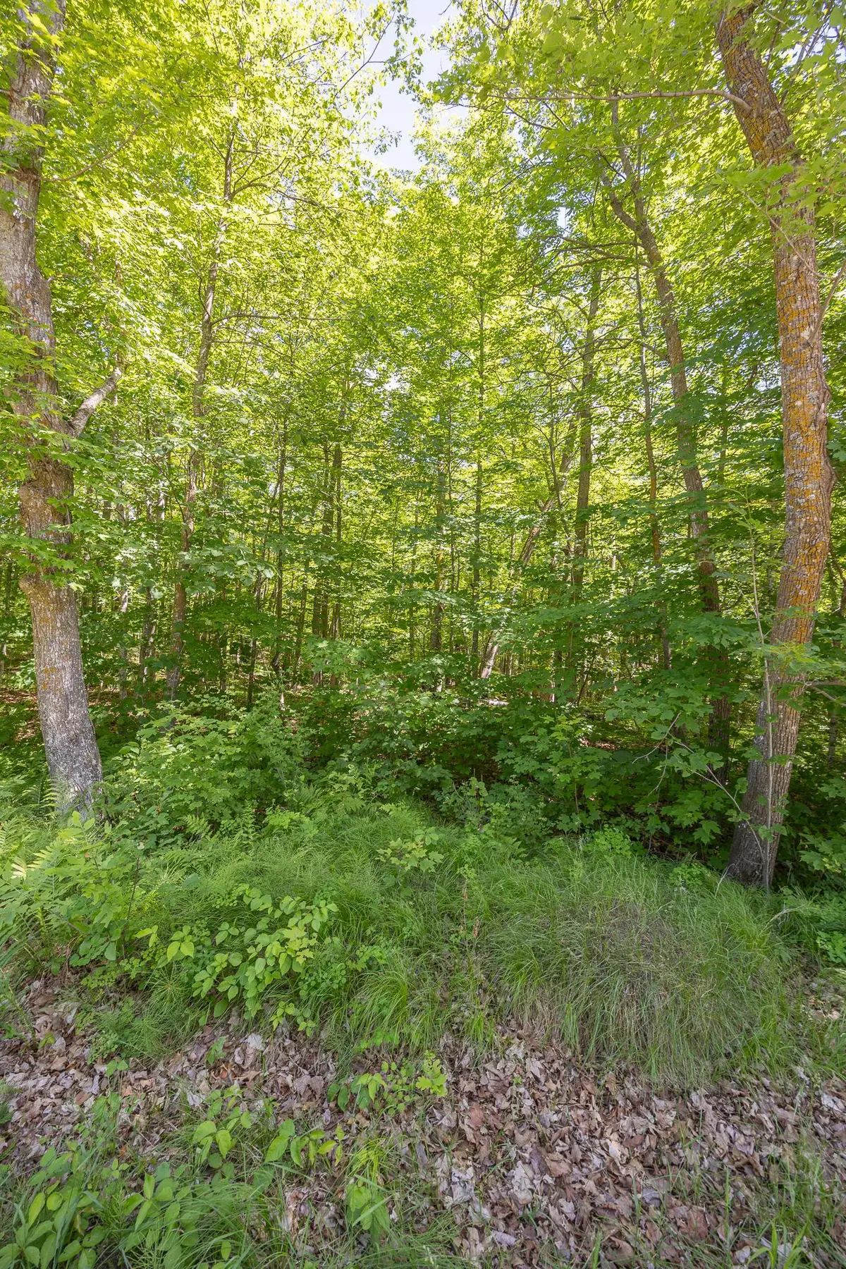 TBD Island View Drive Ne, Longville, MN 56655 - #1