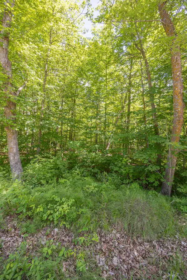 TBD Island View Drive Ne, Longville, MN 56655