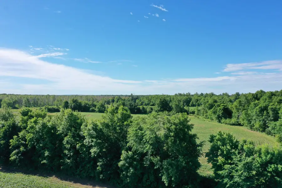 Lot 1 Williams Road, Grantsburg, WI 54840 - #3
