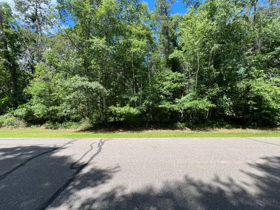 Lot 2 Birch Lane, Brainerd, MN 56401 - #3