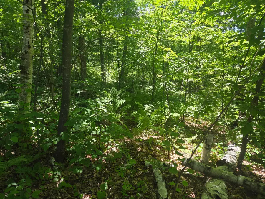 TBD County Rd G, Comstock, WI 54826 - #2