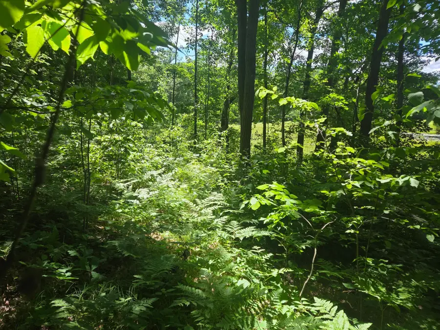 TBD County Rd G, Comstock, WI 54826 - #3