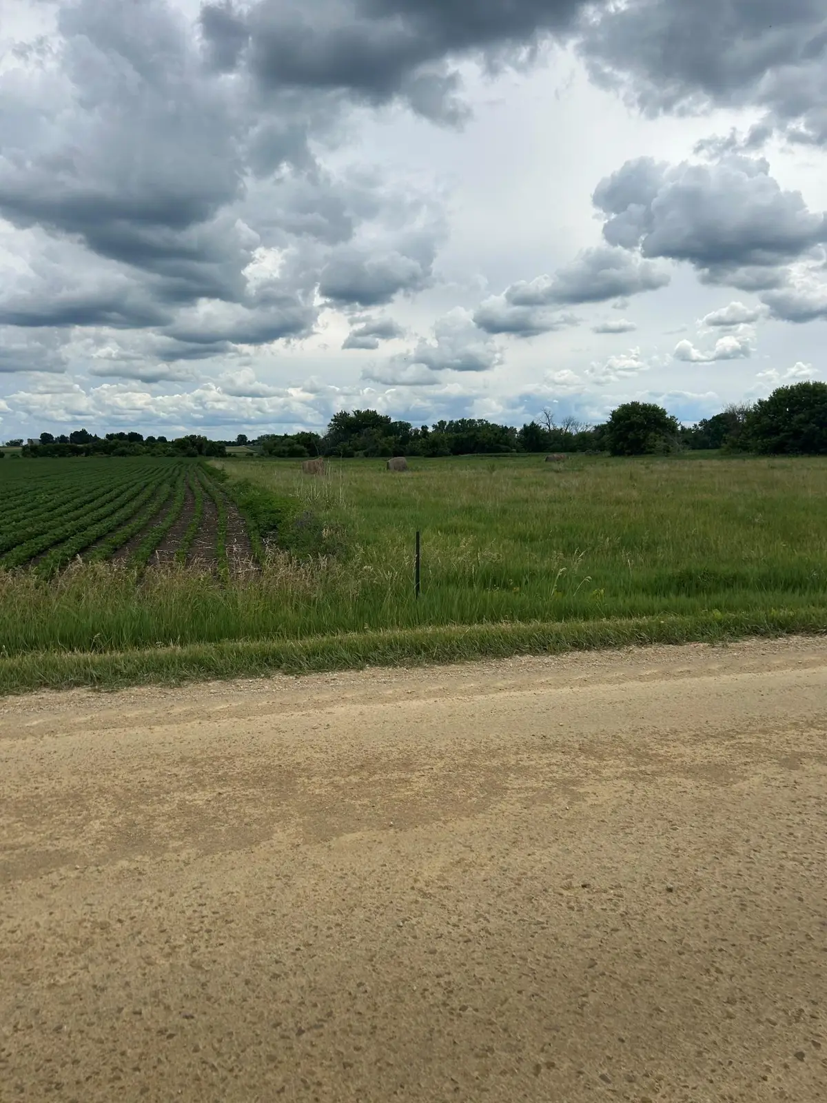 XXXX 300th Street, Northfield, MN 55057 - #1