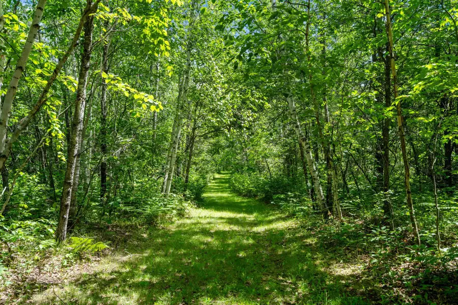 TBD E Mail Road, Gordon, WI 54838 - #3