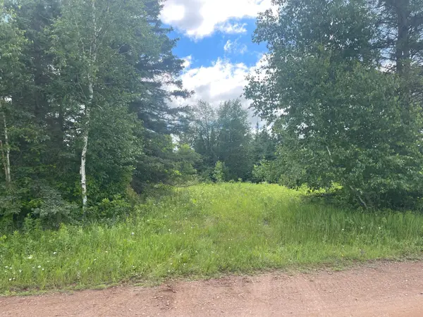 TBD Sjodahl Road, Sandstone, MN 55072