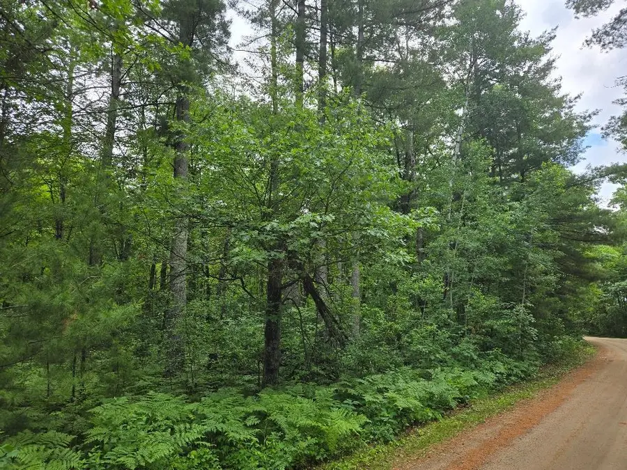 TBD Isle Harbor Drive, Federal Dam, MN 56641 - #3
