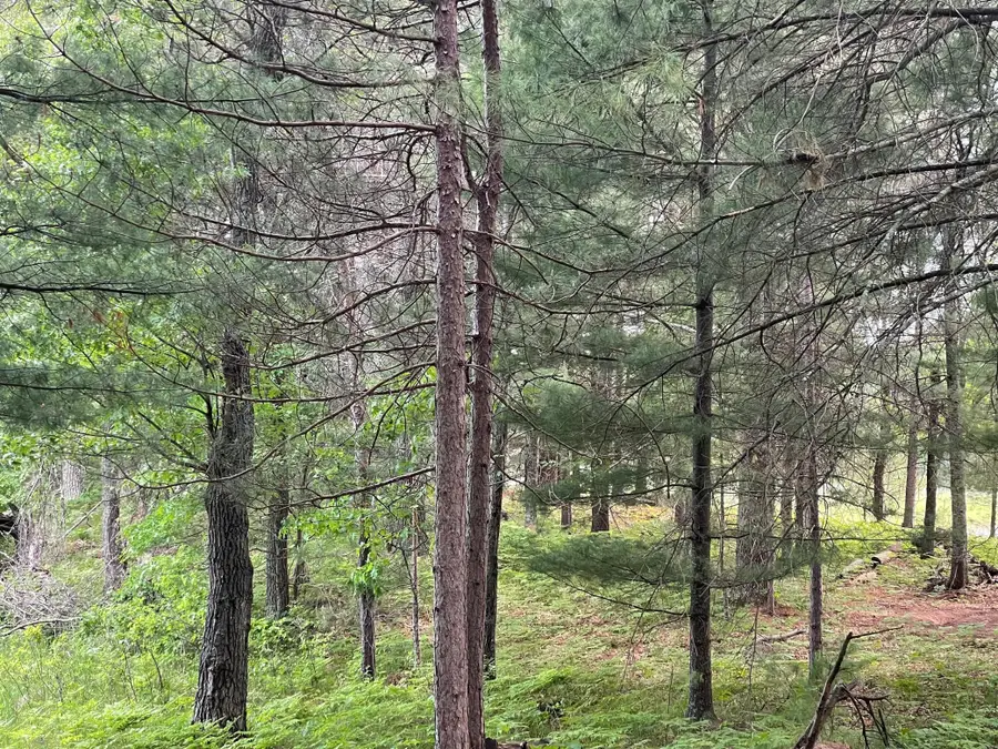 Lot 4 Big Bear Court, Danbury, WI 54830 - #3