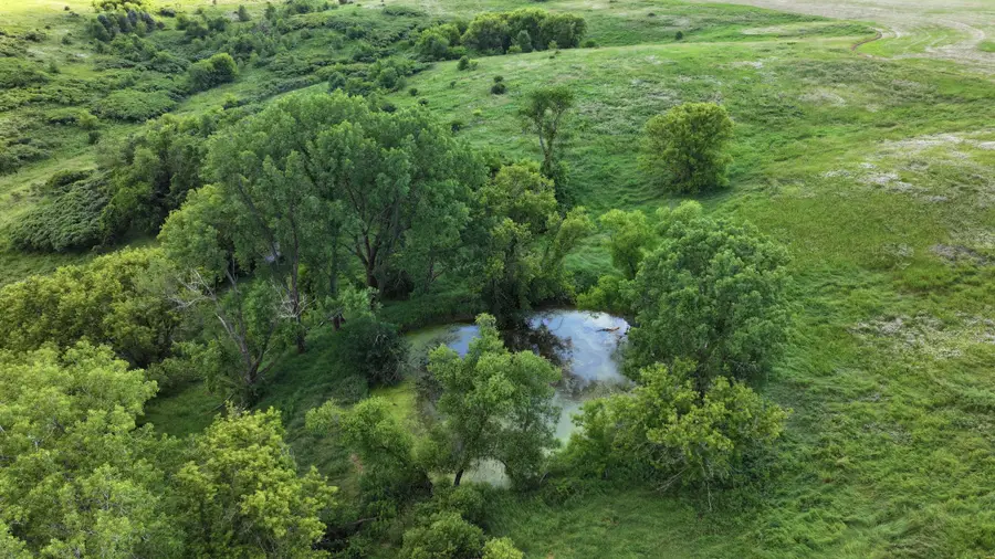 TBD Dunn Road, Caledonia, MN 55921 - #3