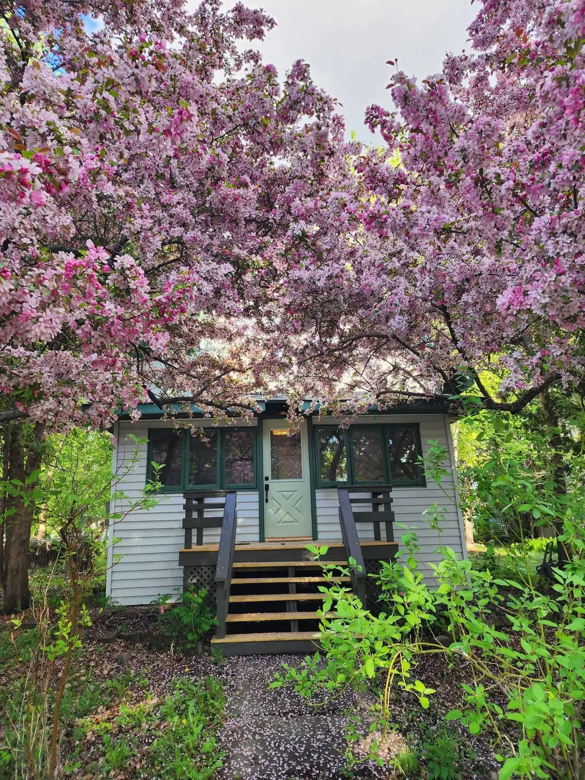 6 4th Street Nw, Glenwood, MN 56334 - #1