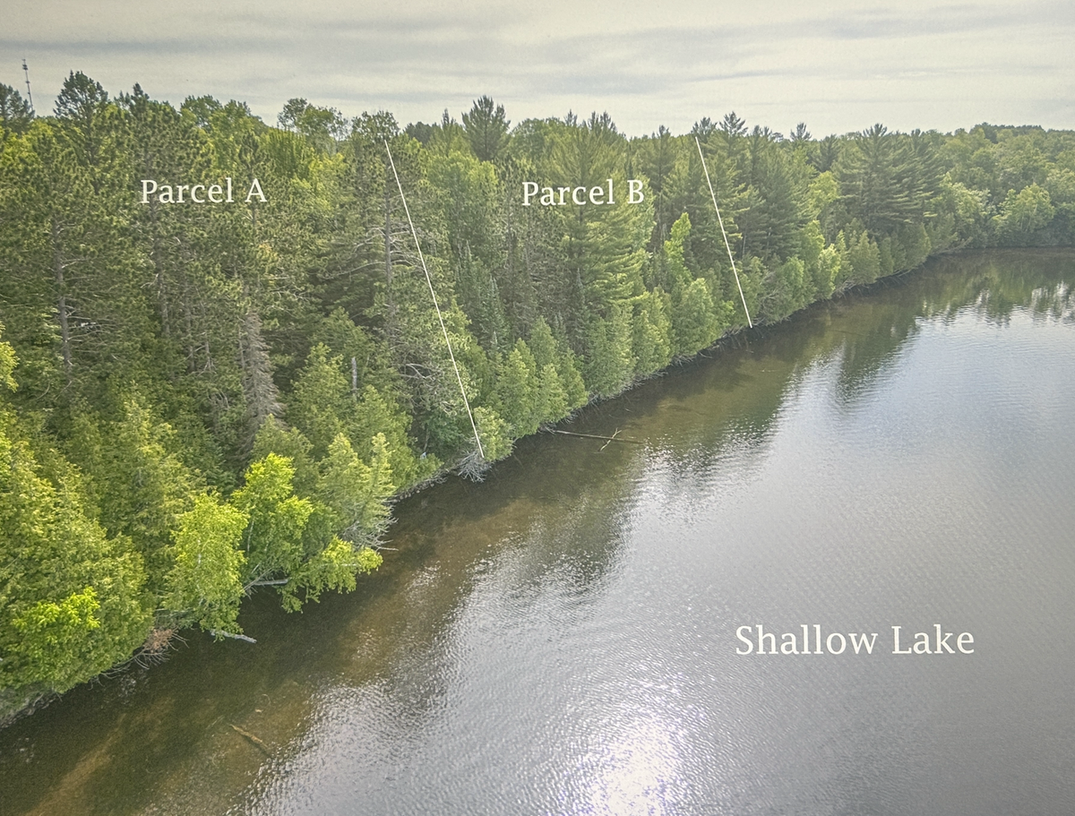 TBD (Parcel C) North Shallow Lake, Warba, MN 55793 - #1