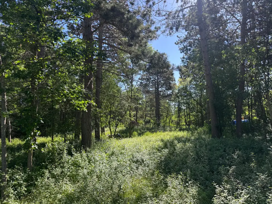 TBD Franklin Avenue, Park Rapids, MN 56470 - #2