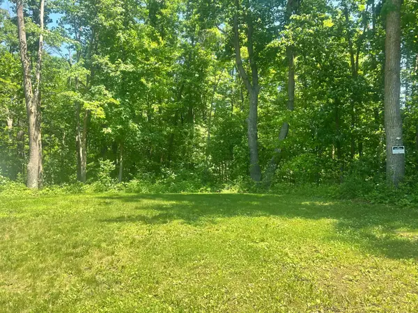 6966 Lake Camile Drive, Randall, MN 56475