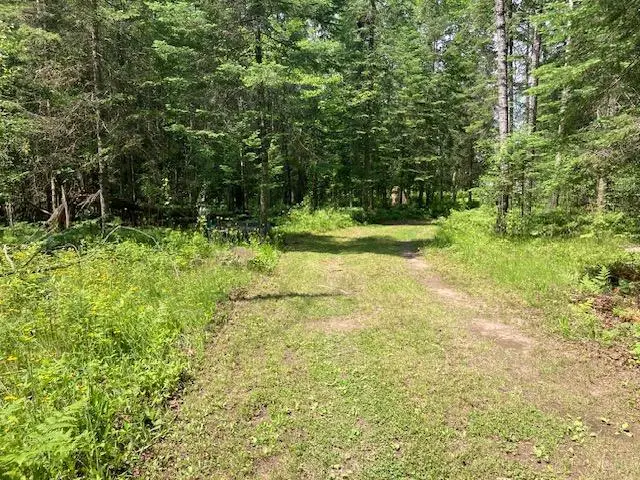 11919 Luna Lake Road, Side Lake, MN 55781 - #3