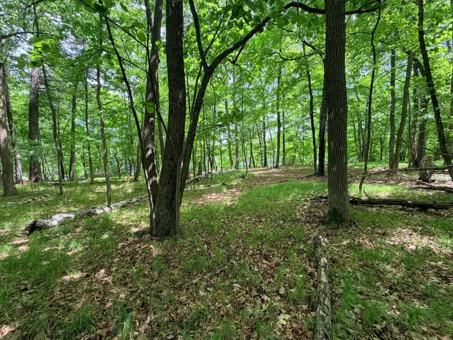 TBD Buxton Road Nw, Hackensack, MN 56452 - #3