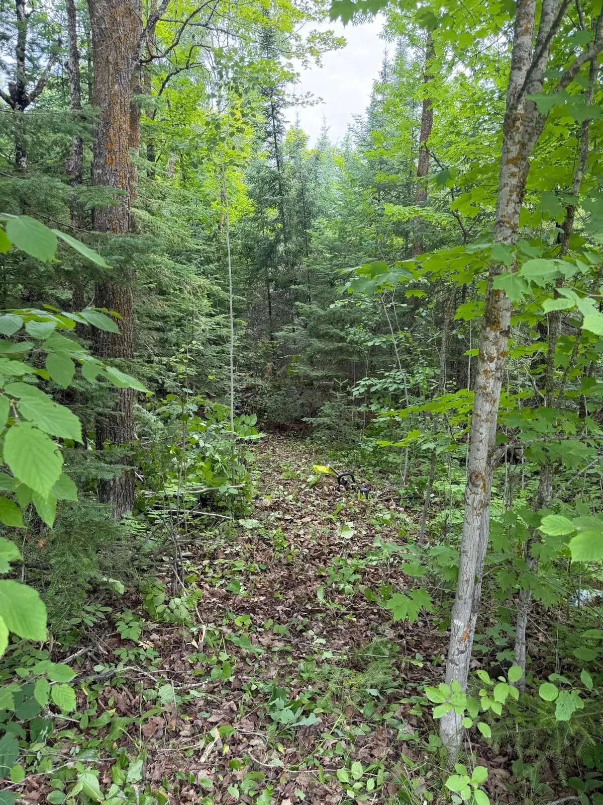 Lot 2 S Gull Lake Rd Sw, Port Hope, MN 56647 - #1