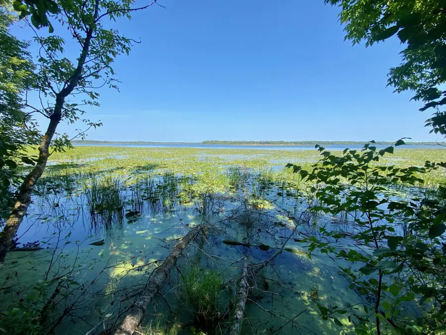 Lot 2 S Gull Lake Rd Sw, Port Hope, MN 56647 - #2
