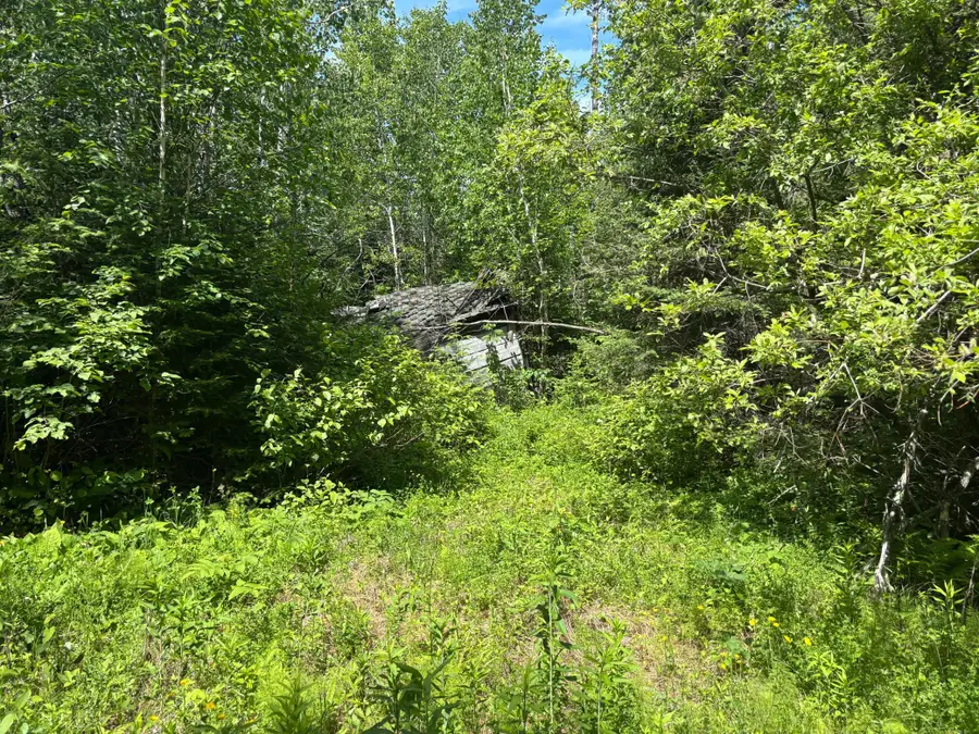 11703 Jacobs Road, Orr, MN 55771 - #3