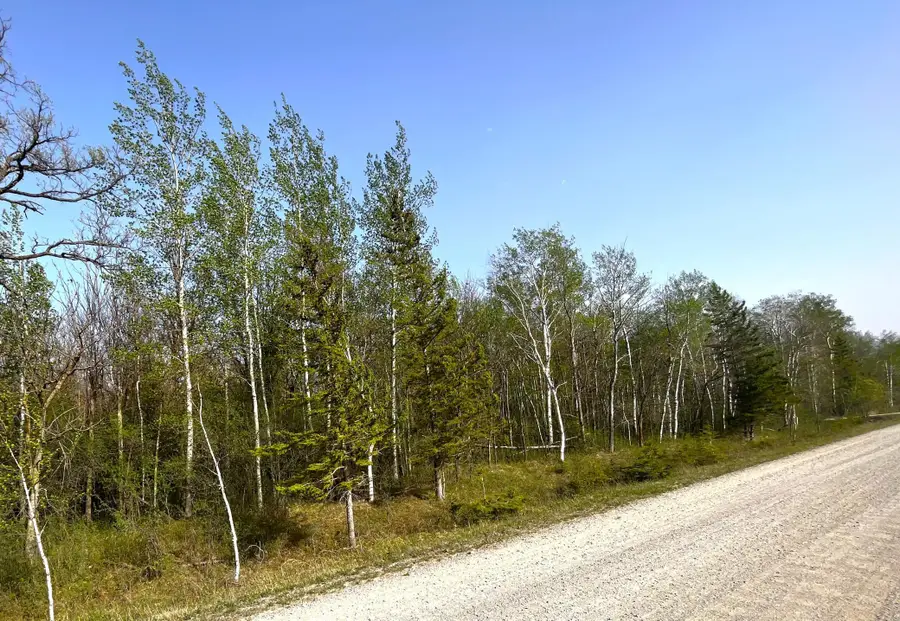 XXX 585th Avenue, Warroad, MN 56763 - #3