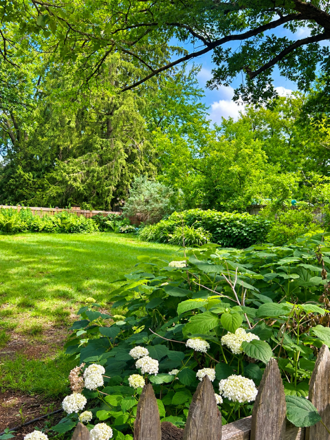 5647 Wood Lane, Saint Louis Park, MN 55436 - #2