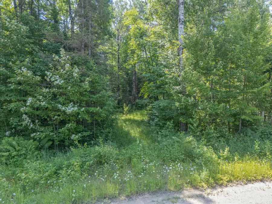 County Road 308 County Road 308, Mountain Iron, MN 55768 - #3