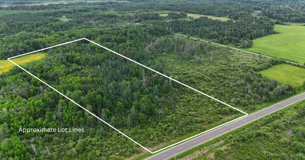8xxx Townline Road, Forbes, MN 55738