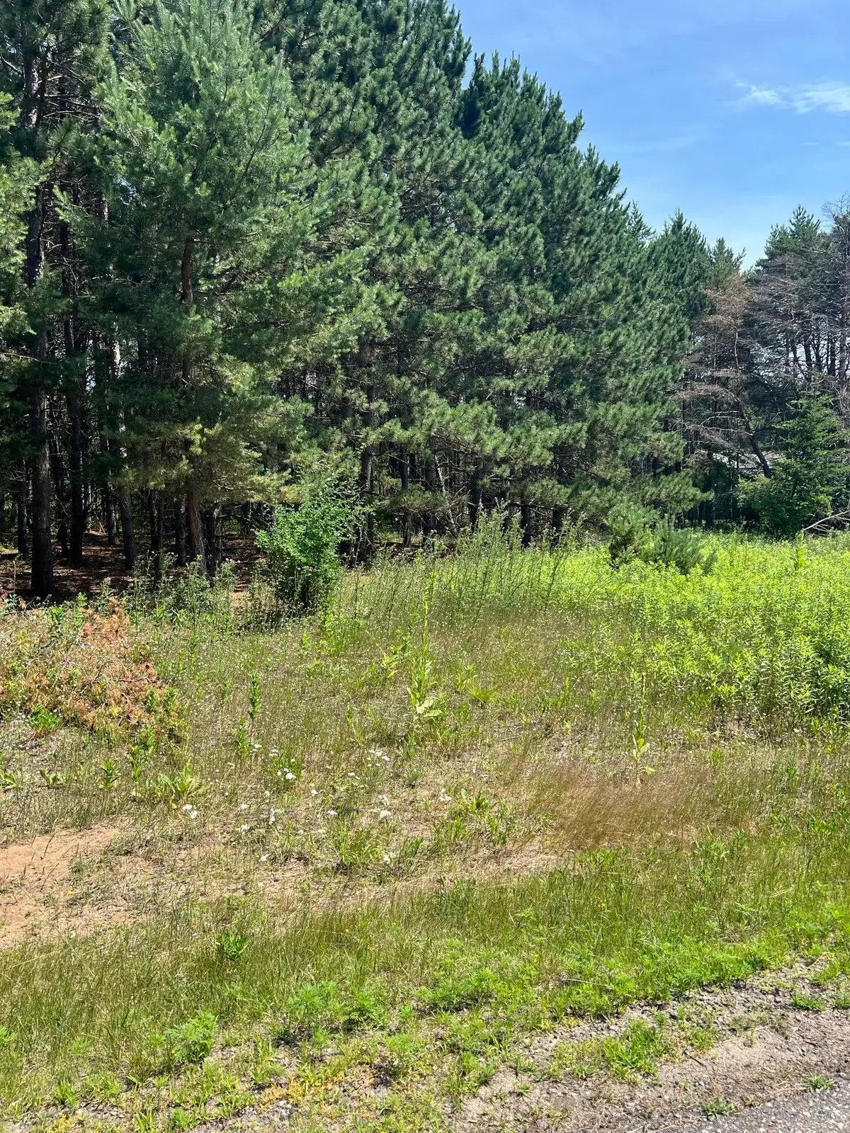 TBD Thomas Drive, Little Falls, MN 56345 - #1