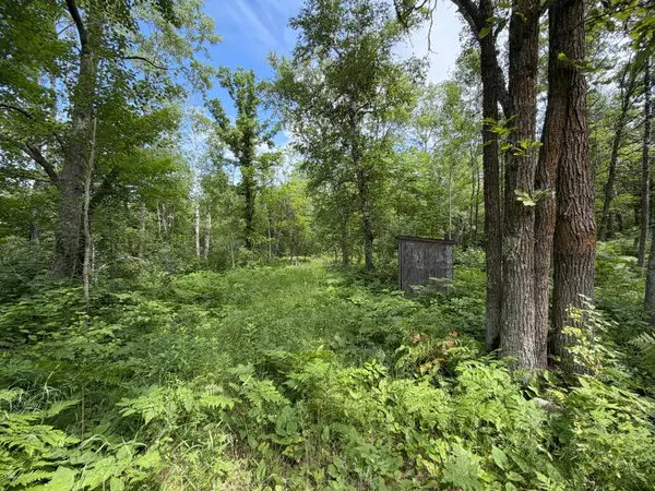 TBD County 95, Laporte, MN 56461
