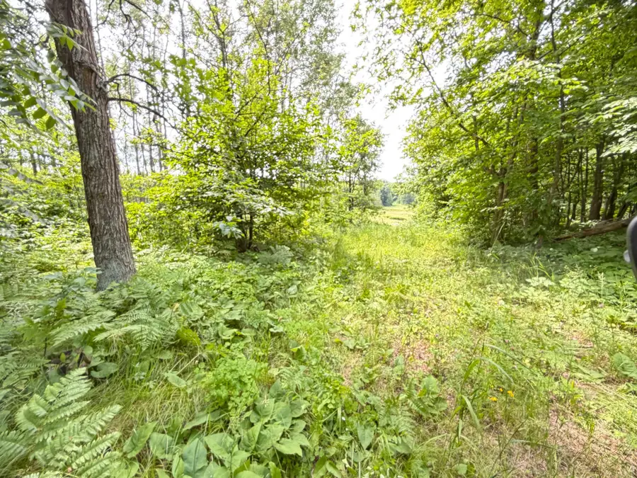 TBD County 95, Laporte, MN 56461 - #3