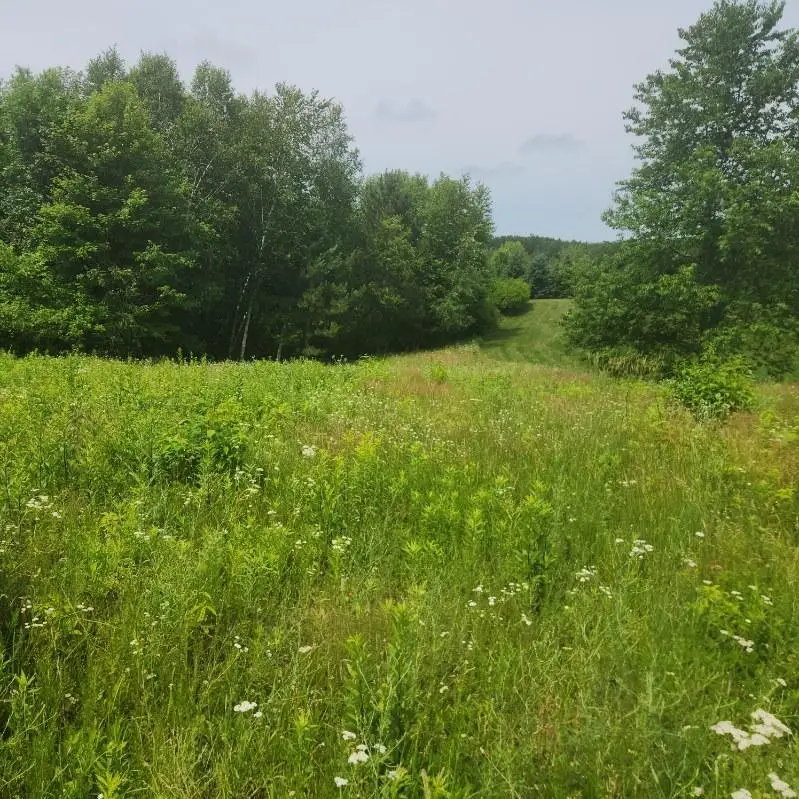 2178 95th Street, Somerset, WI 54025 - #1