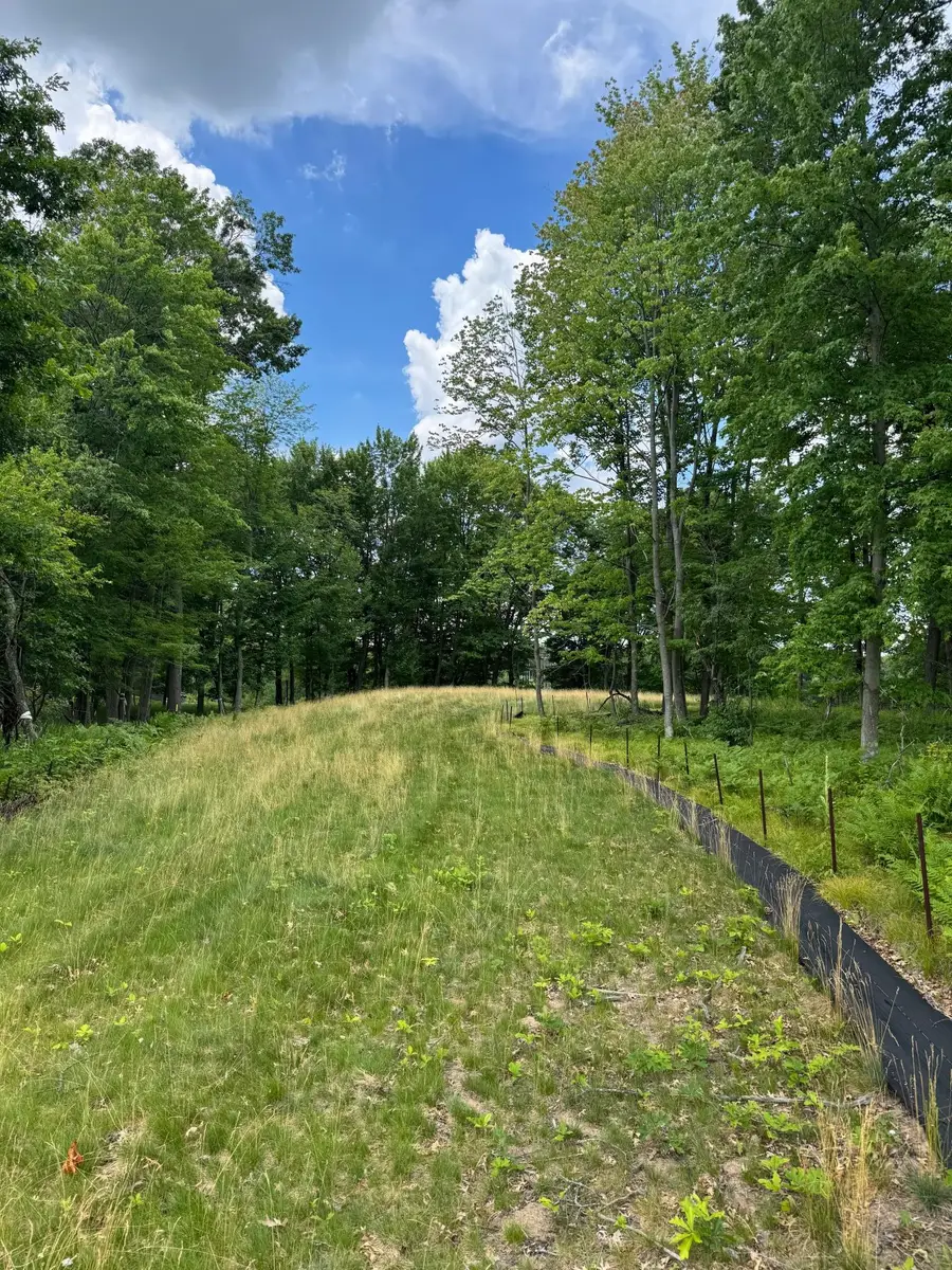 355 176th Lane Ne, Ham Lake, MN 55304 - #3